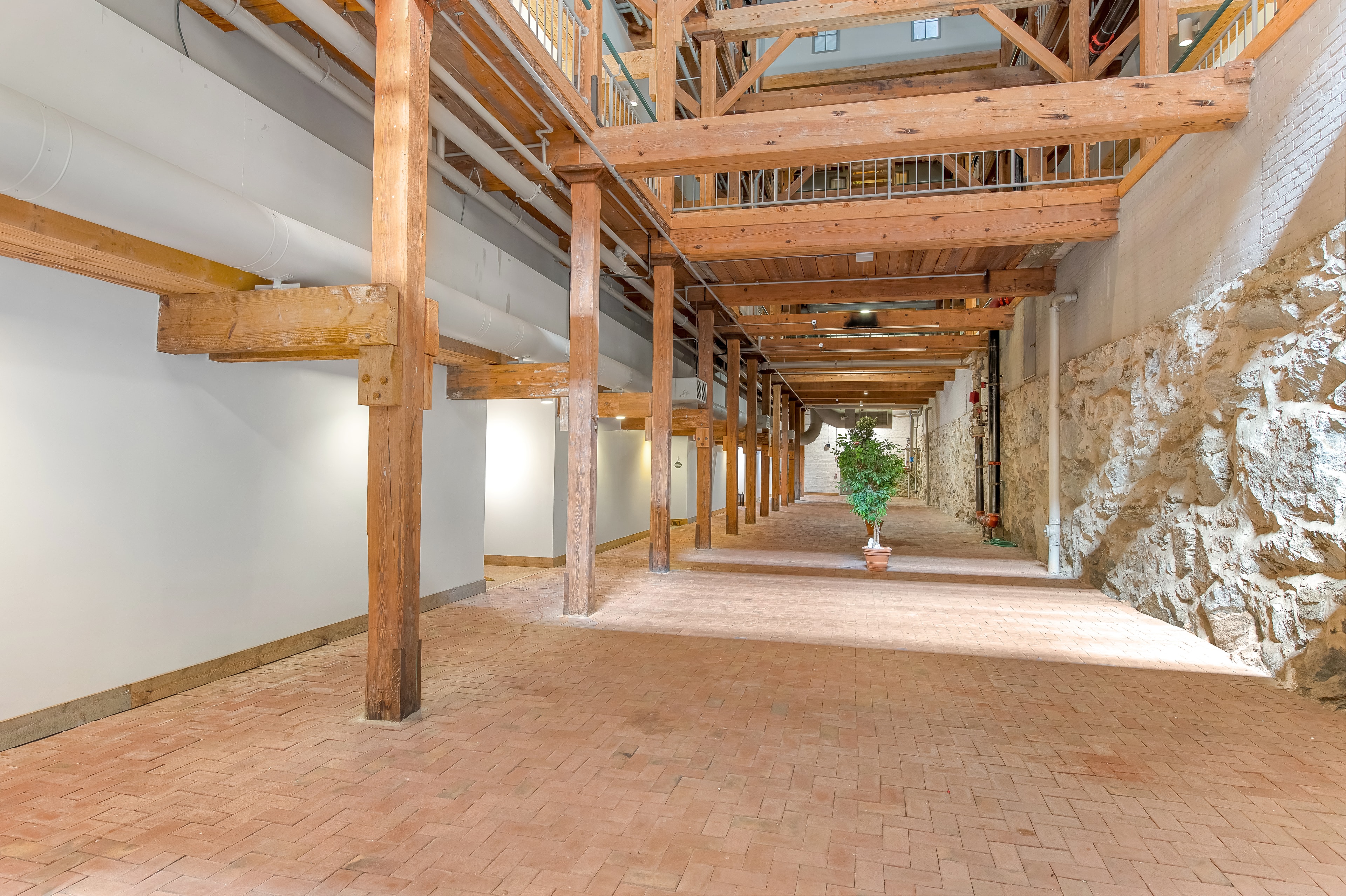 Timber corridor, golden hour